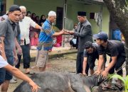 Perkuat Silaturahmi, Barita Sihite Salurkan Hewan Qurban