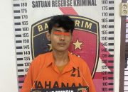 Curi Cabe, Seorang Pria Ditangkap Polisi