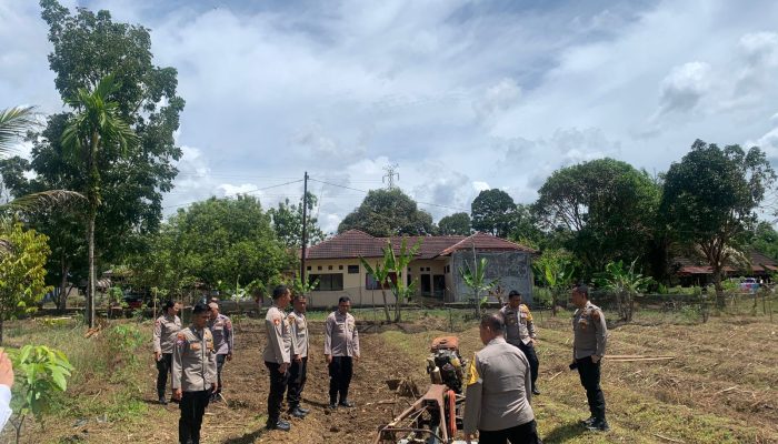 Olah Lahan Kosong, Polres Tapteng Dukung Ketapang Nasional