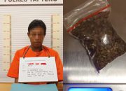 Pengedar Ganja Berakhir di Tangan Polres Tapteng